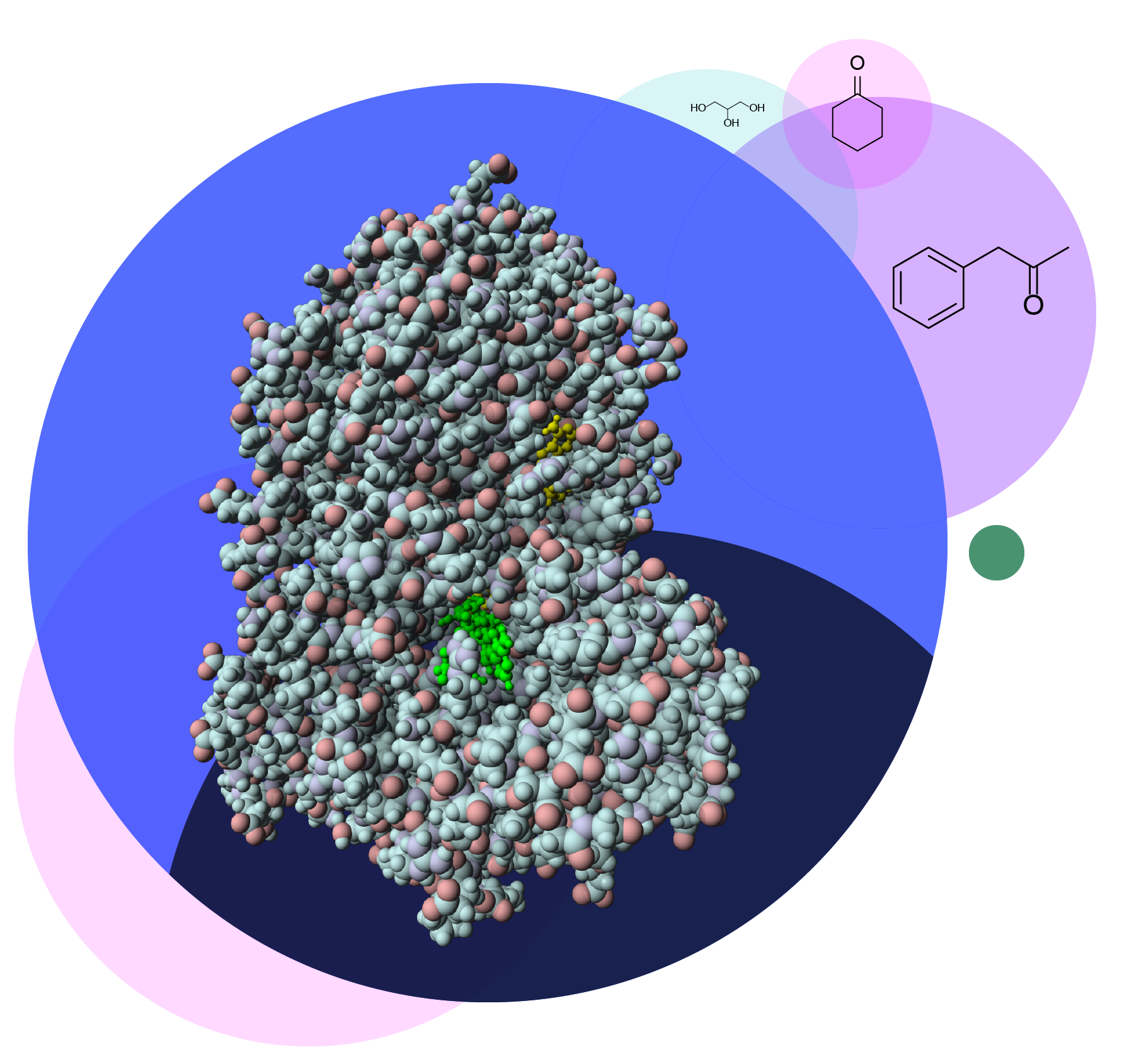 protein_ball_world@2x